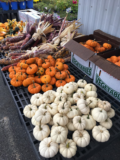 Stone Brook Garden Center & Landscape Supply - Thumbnail