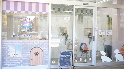 dog care house Lotus