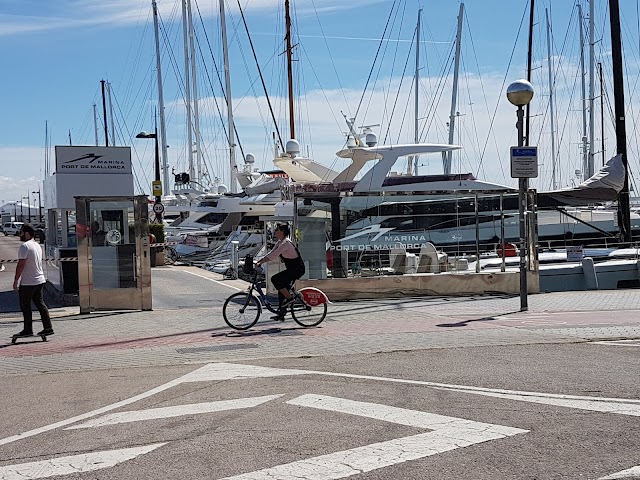 Son Marroig