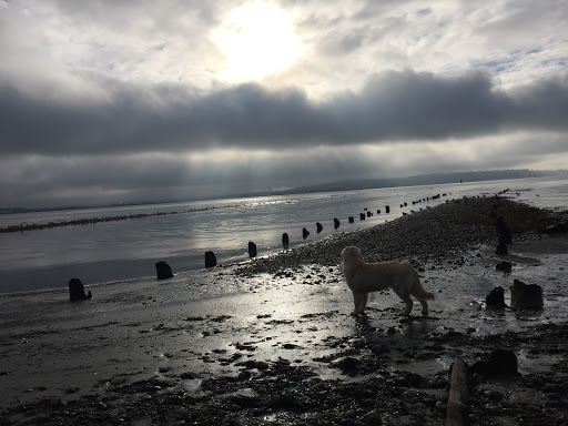 Semiahmoo First Nation - Thumbnail