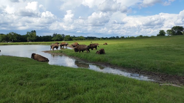 Tupelo Buffalo Park & Zoo