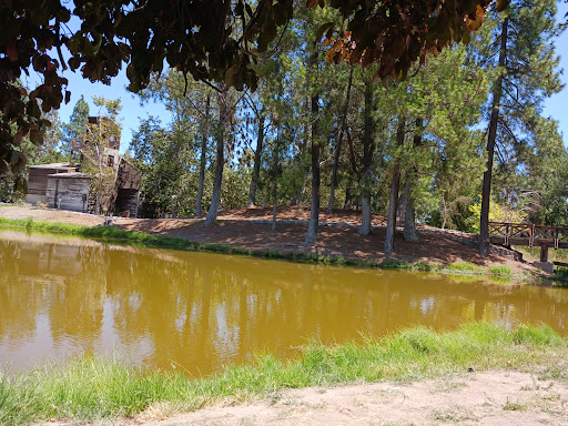 Glen Helen Regional Park Large Fishing Lake - Thumbnail