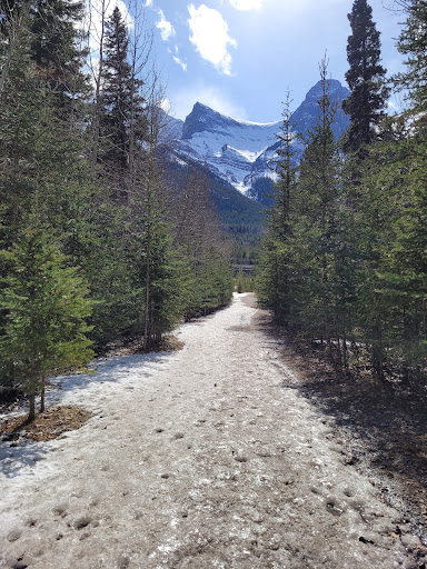 Rundleview Park - Visual