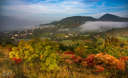 Comune di Baone - Visual