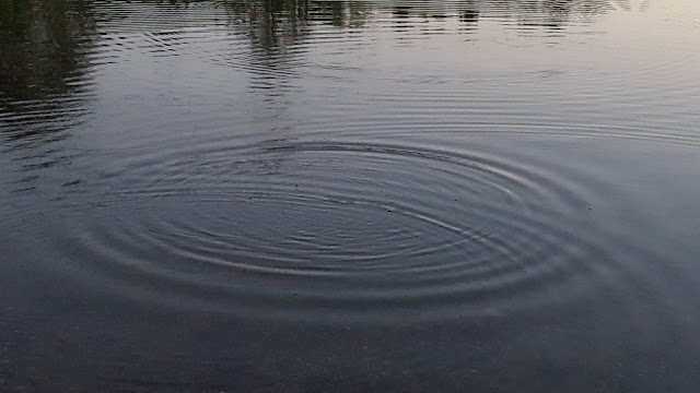 Bass Lake State Forest Campground