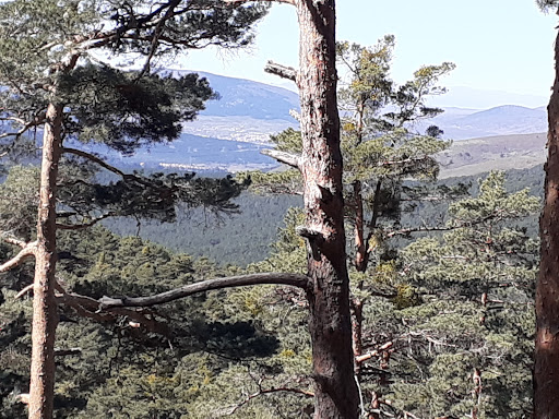 Arroyo Siete Pasillos