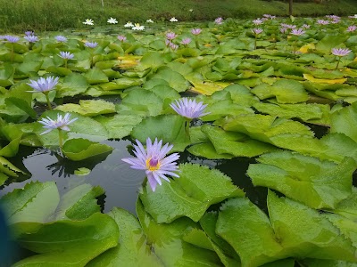 Photos of Water's Edge