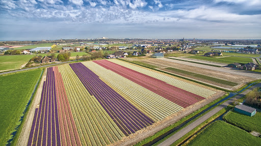 Foto van Kampen