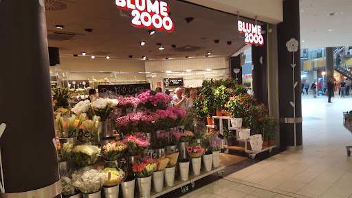 BLUME2000 Wildau A 10 Center - Thumbnail