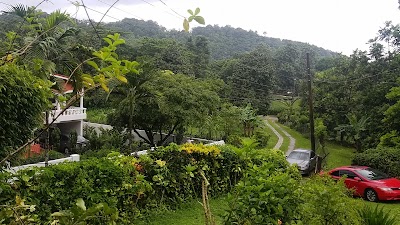Photos of Polish Princess Guest house