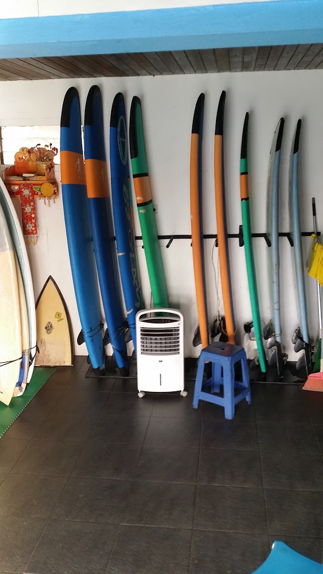 Monkey Surfing