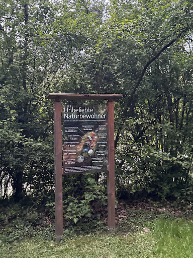 Naturlehrpfad am Kreuzbergsee - Thumbnail