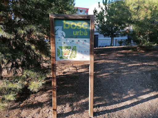 Bosc urbà - Visual