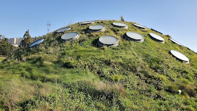 California Academy of Sciences