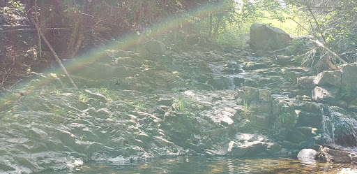 Trout Brook Falls - Thumbnail