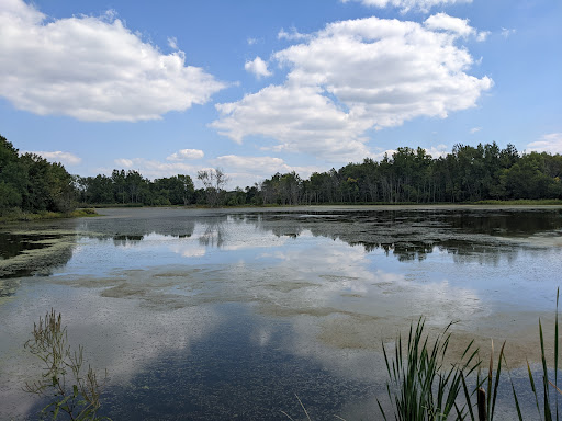 Celery Bog Nature Area - Thumbnail