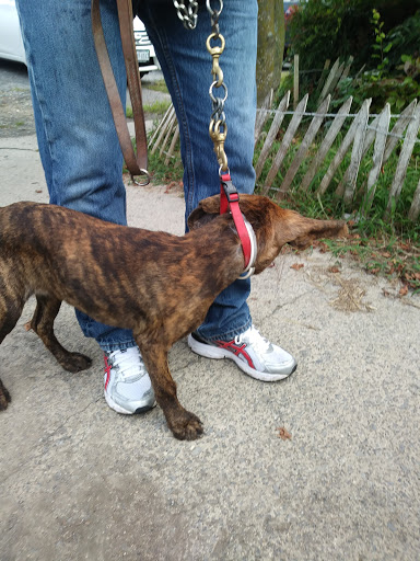 Smyth County Animal Hospital - Thumbnail