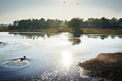 Photos of Belmond Eagle Island Lodge