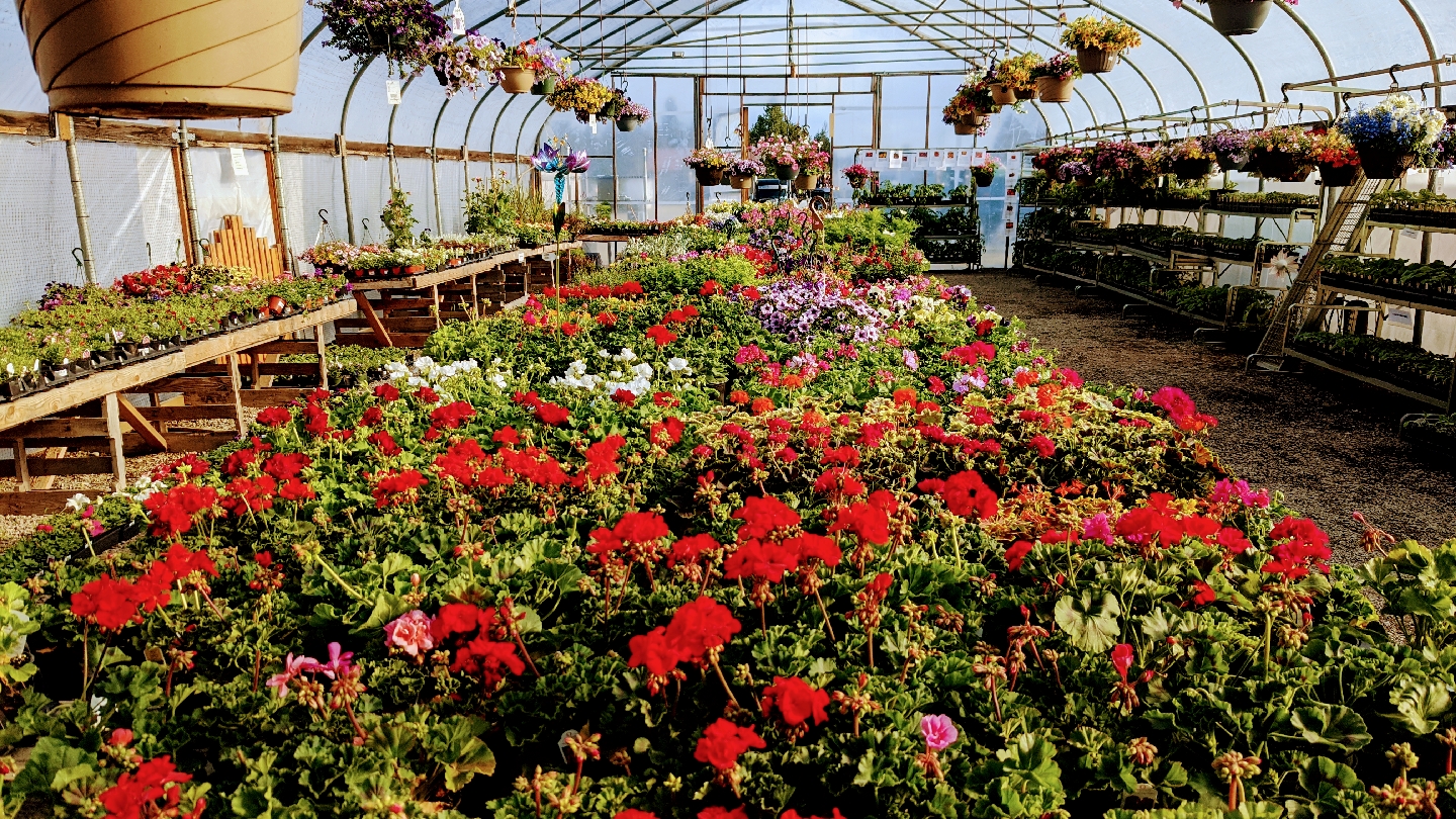 New Leaf Nursery