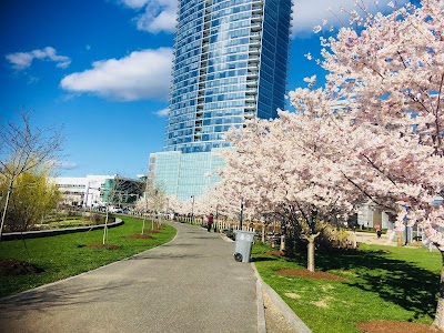 Mill River Park Collaborative