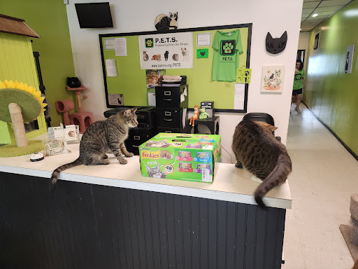 Panora PETS Gallery - United States