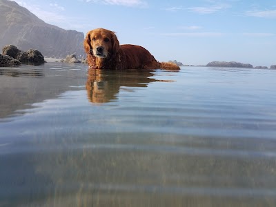 Whiskey Run Beach