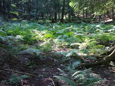 Photos of Pine River Paddlesport Center