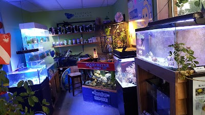 Sho Tank Aquariums ( good water aquatics )