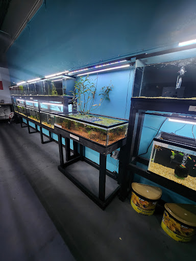 Lone Star Aquariums - Thumbnail