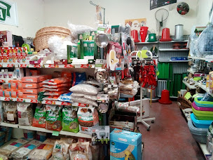 Photo n°1 de A.M.A à Feurs (Magasin d'alimentation animale)