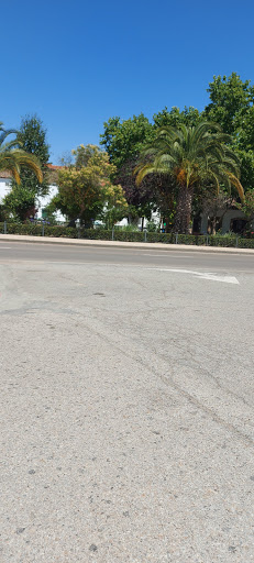 Don Dulzón - Visual