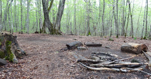 Island Mine Campground - Thumbnail