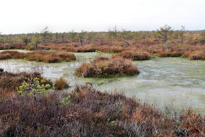 Photos of T&auml;navj&auml;rv