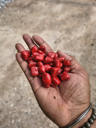 Add a pop of color to your space with *Red Candy Pebbles*! 🌱✨ Perfect for indoor & outdoor plants… post image