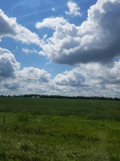 Rollersville Tavern - Visual