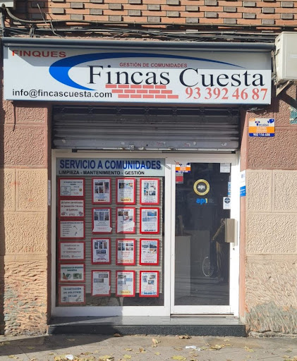 Fincas Cuesta - Thumbnail