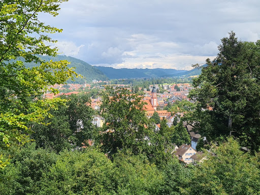 Purign GmbH - Thumbnail