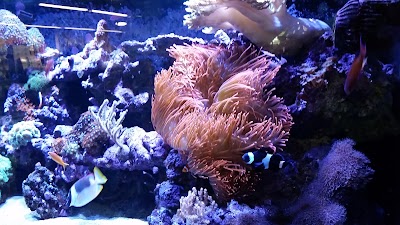 Photos of Preuss Pets