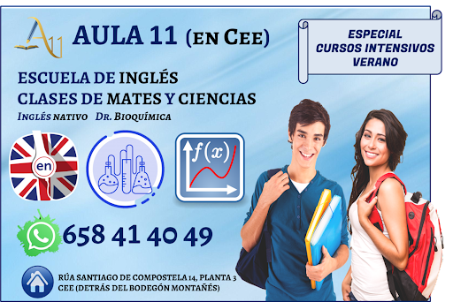 Academia Aula 11 - Apoyo al Estudio - Thumbnail