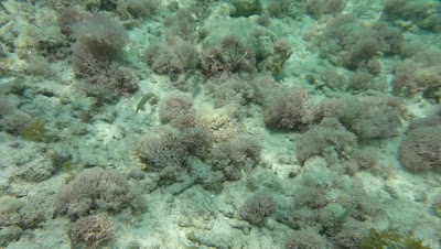 Photos of Isla del Pirata - Oficina