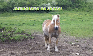 Photo n°32 de Les Ecuries d'Arion à Jenzat (Loisirs)