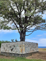 Photo n°14 de LPV Aurelle Transport 974 | Transfert, Excursions La Réunion à saline barrage (Service de transport)