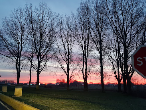 Aire de Steenwerck (Est) Gallery - France