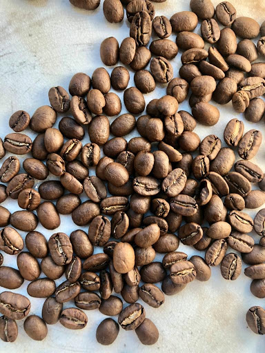 Café Terrestre - Visual