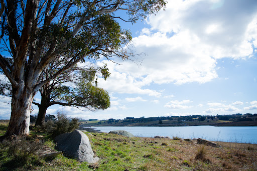 Lake Oberon Estate Gallery - Australia