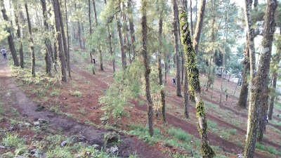 Photos of Estadio Verapaz