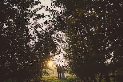 Photos of Karlo Gavric Weddings