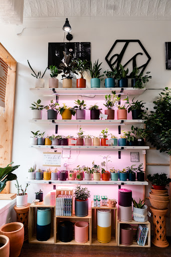 Driftless Style - Visual