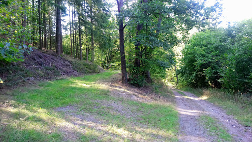 Bachwiesental - Thumbnail