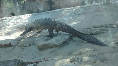 Photos of Ecoparque Aluxes